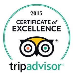 tripadvisor-2015